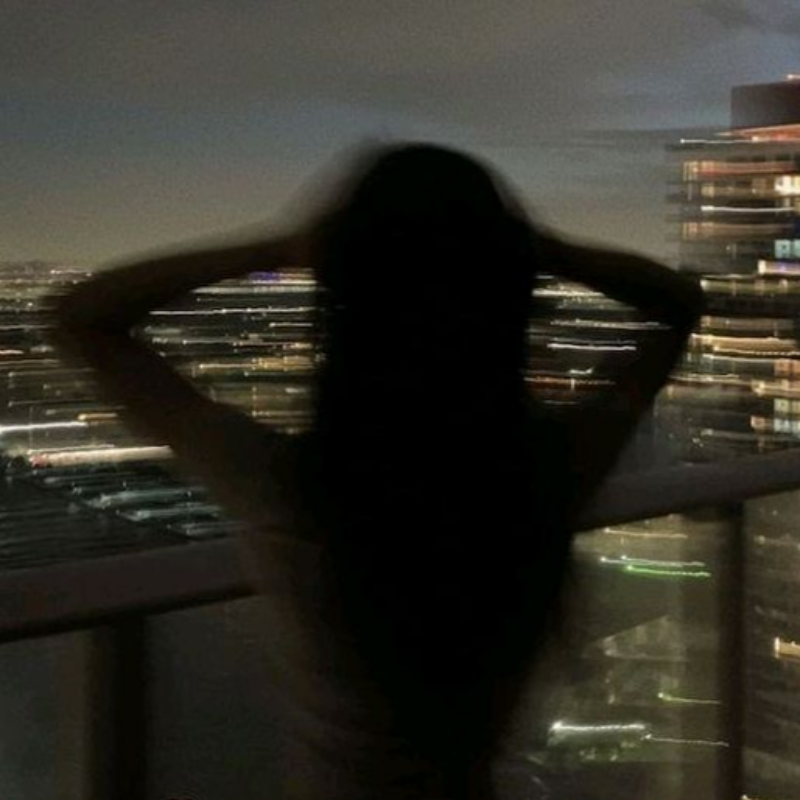 Silhouetted person overlooking a city at night